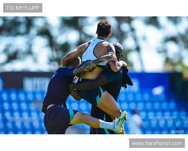 恰尔汗奥卢对抗能力