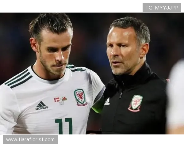 维尼修斯伤病与出勤率分析：持续成长的稳定性评估