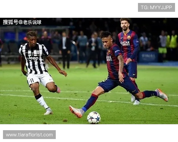 格里兹曼回撤组织中的串联作用解析 格里兹曼回撤组织中的串联作用解析