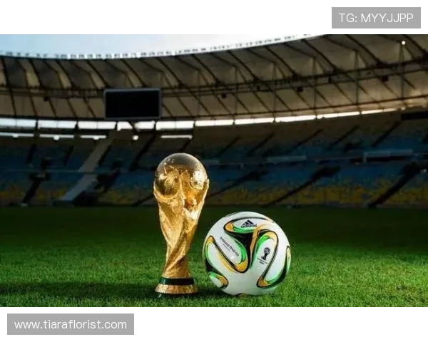2026世界杯三国联合举办对旅游行业影响分析