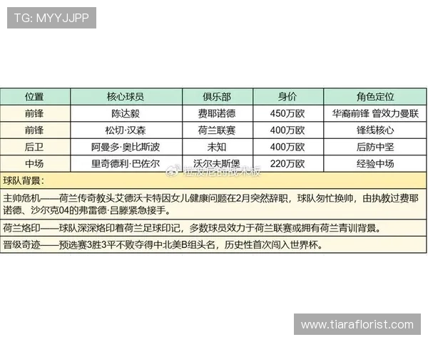 世界杯E组最佳阵容预测